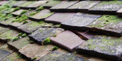 Uttlesford roof repair costs